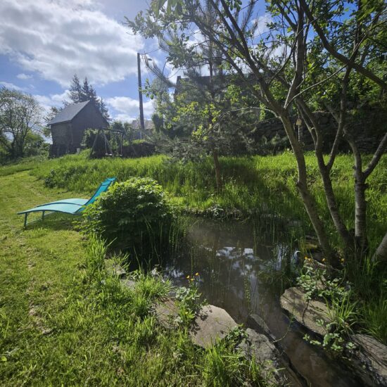 Petit bassin avec poissons dans le jardin du gîte La Lumette