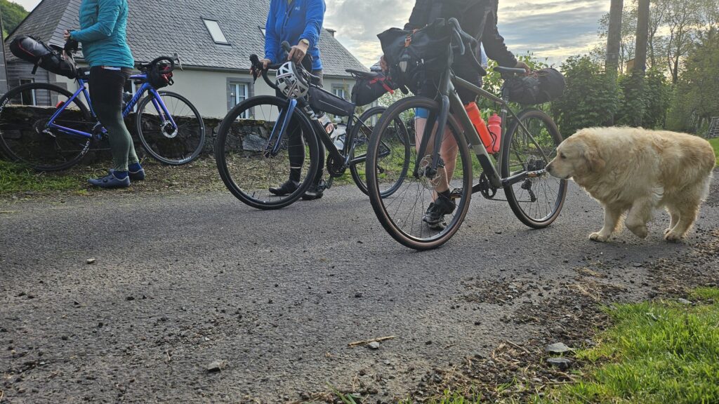 Groupe de cyclistes faisant étape à la Datcha Anastasia, au cœur du Massif du Sancy, dans une ambiance conviviale et nature.