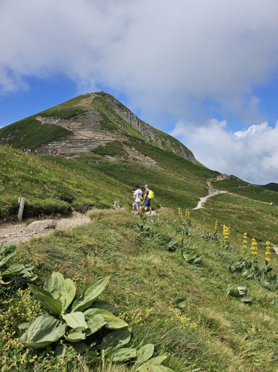 Vue imprenable sur les sommets du Massif du Sancy depuis les hauteurs du Puy de Sancy.