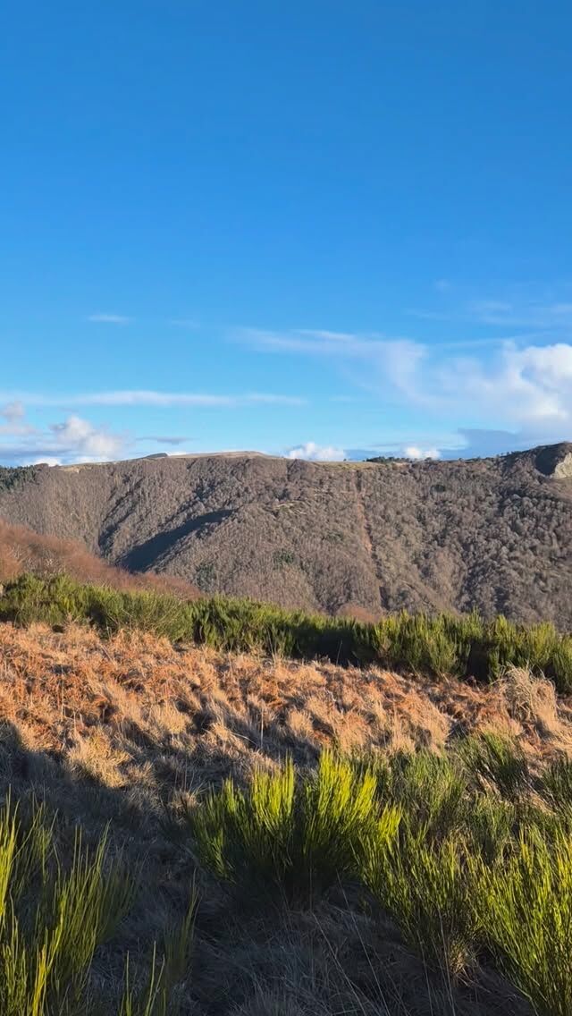 #maisondhotesdecharme #massifdusancy #sancytourisme #randonnée